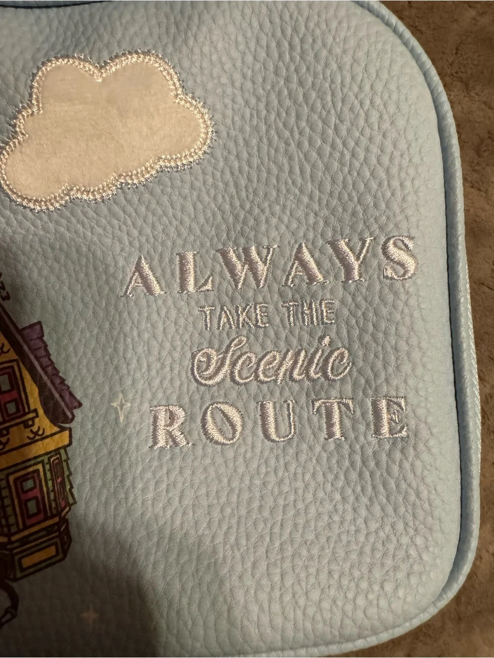 Primark Pixar UP travel case